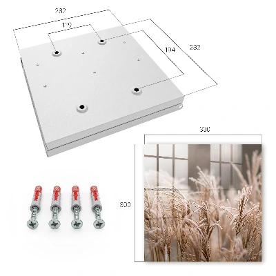 Wall mounted key box Frosty grass