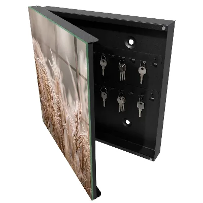 Wall mounted key box Frosty grass