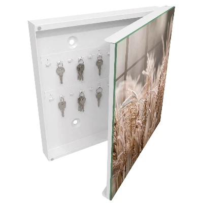 Wall mounted key box Frosty grass
