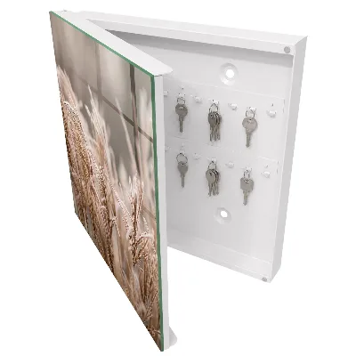 Wall mounted key box Frosty grass