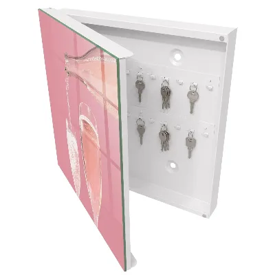 Wall mounted key box Champagne glasses