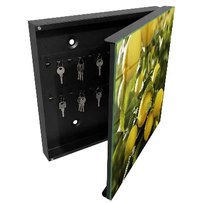 Key cabinet Juicy freshness