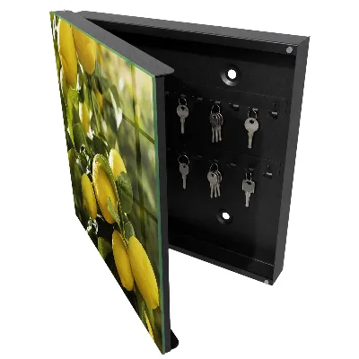 Key cabinet Juicy freshness