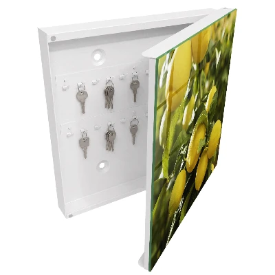 Key cabinet Juicy freshness