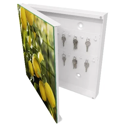 Key cabinet Juicy freshness
