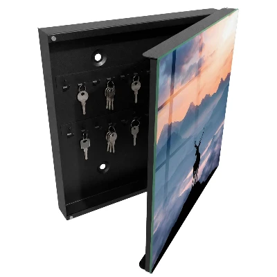 Key cabinet Mountain harmony