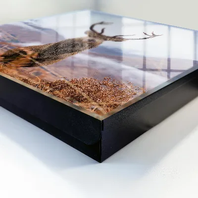 Key cabinet Mountain deer