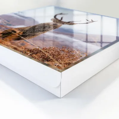 Key cabinet Mountain deer