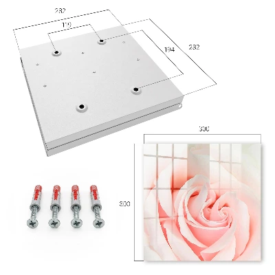 Wall mounted key box Romantic rose