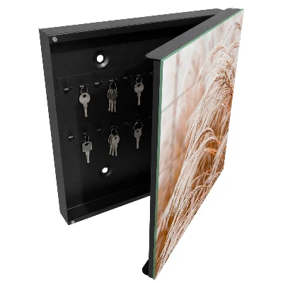 Key cabinet Delicate grasses