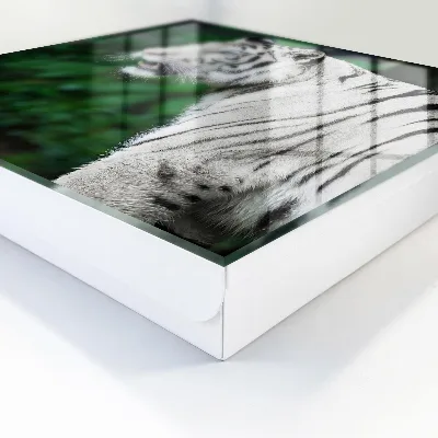 Key box for wall White tiger