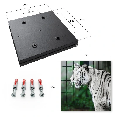 Key box for wall White tiger