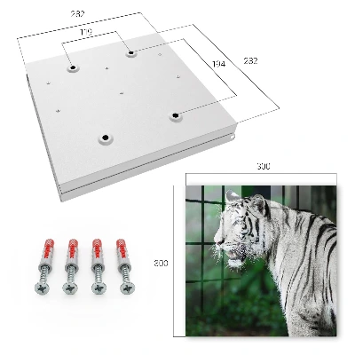 Key box for wall White tiger