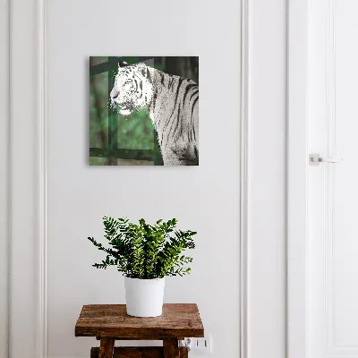 Key box for wall White tiger