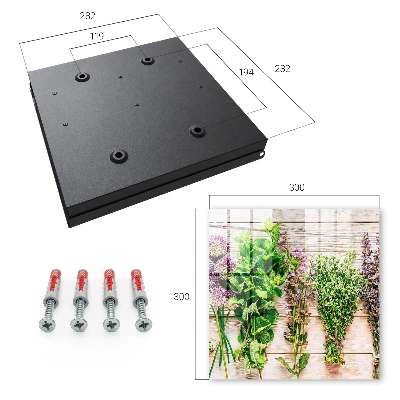 Key cabinet Green herbs