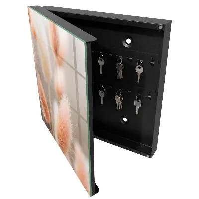 Key cabinet Subtlety of nature