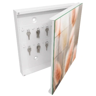 Key cabinet Subtlety of nature