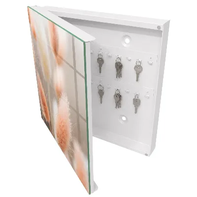 Key cabinet Subtlety of nature