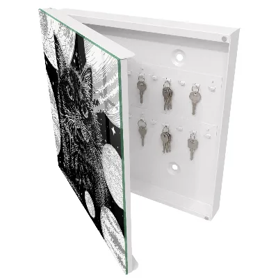 Key box for wall Cosmic cat