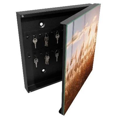 Wall mounted key box Sunset grasses