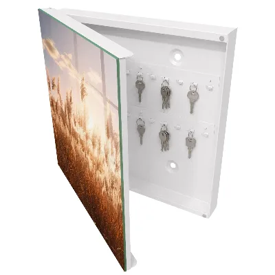 Wall mounted key box Sunset grasses