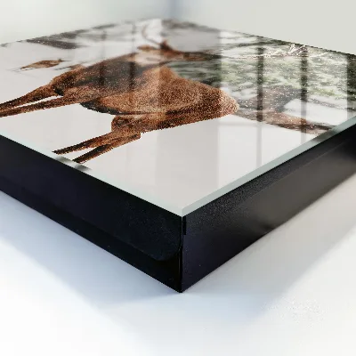 Key cabinet Winter deer