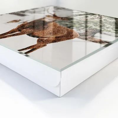 Key cabinet Winter deer