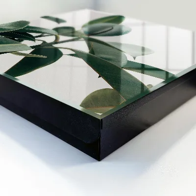 Key cabinet Ficus leaves