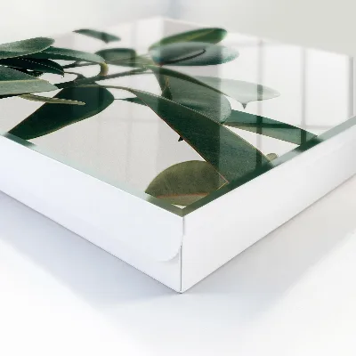 Key cabinet Ficus leaves