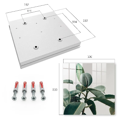 Key cabinet Ficus leaves