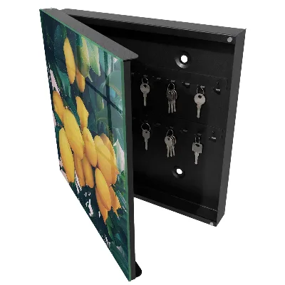 Wall mounted key box Green leaves