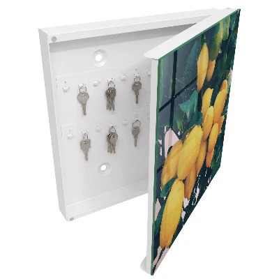 Wall mounted key box Green leaves