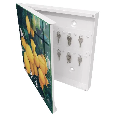 Wall mounted key box Green leaves