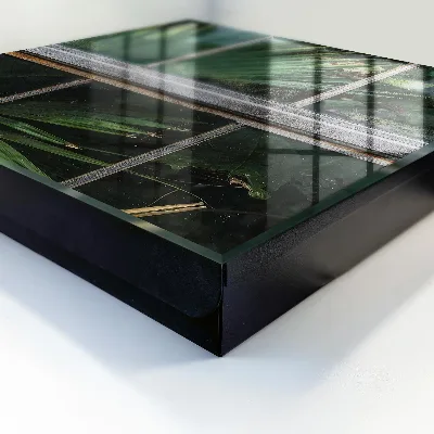 Key cabinet Green harmony