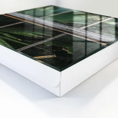 Key cabinet Green harmony