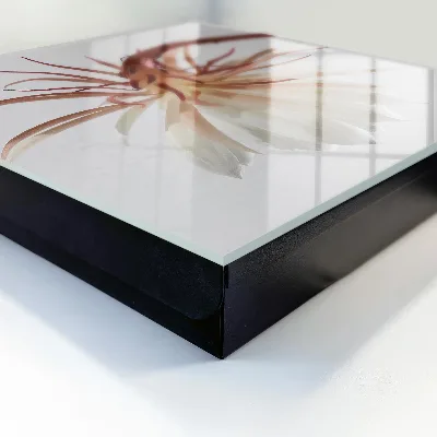 Wall mounted key box Elegance of nature