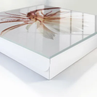 Wall mounted key box Elegance of nature