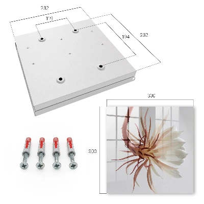 Wall mounted key box Elegance of nature
