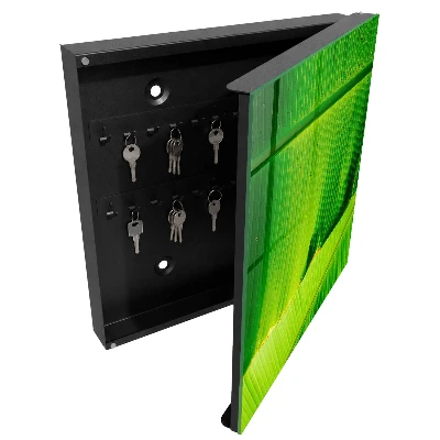 Key box for wall Leaf glow
