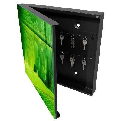 Key box for wall Leaf glow