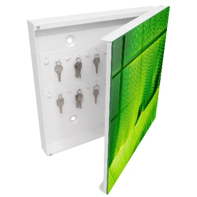 Key box for wall Leaf glow