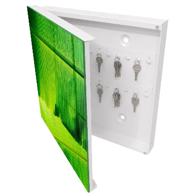 Key box for wall Leaf glow