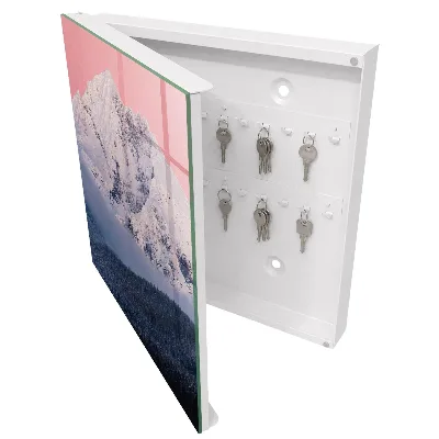 Key box for wall Winter peak