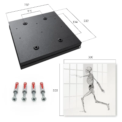 Key cabinet Skeleton movement