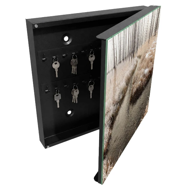 Key box for wall Winter river
