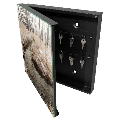 Key box for wall Winter river