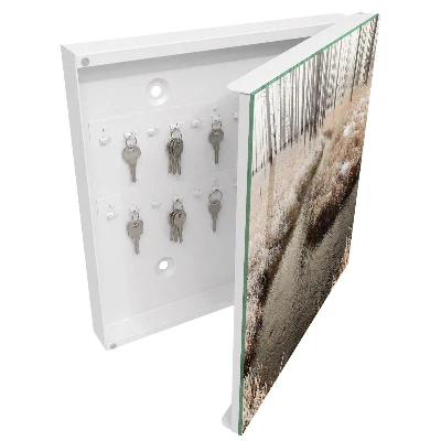 Key box for wall Winter river