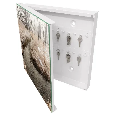 Key box for wall Winter river