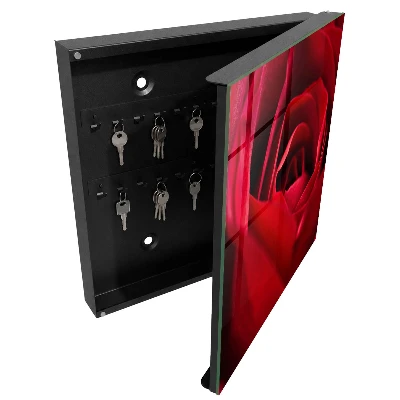 Wall mounted key box Rose close-up