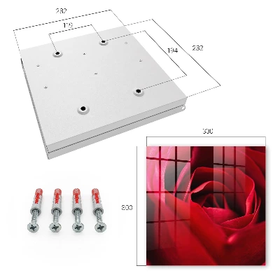 Wall mounted key box Rose close-up